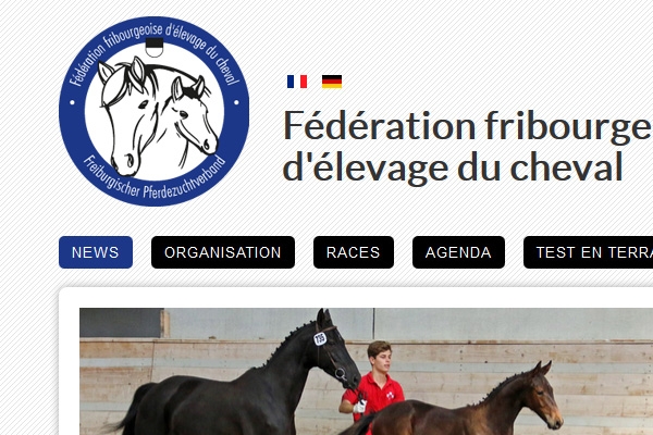 Fédération fr. d'élevage du cheval