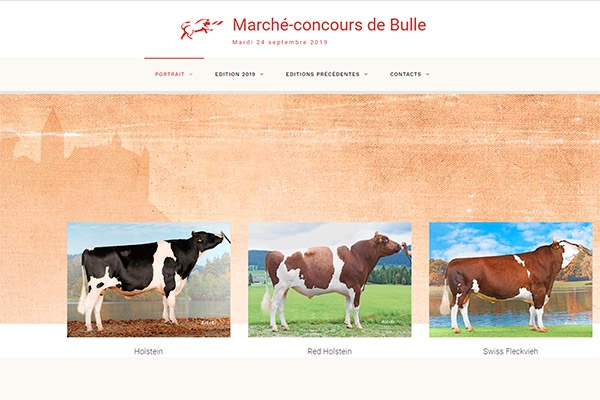 Marché-concours de Bulle