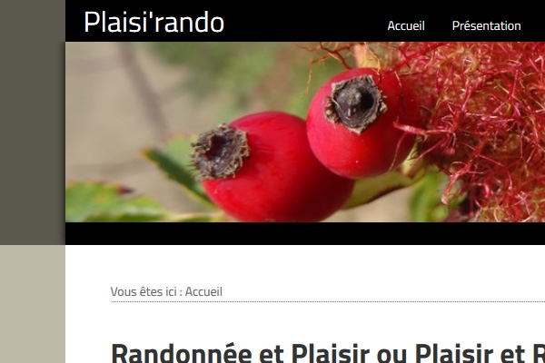 Plaisi'rando