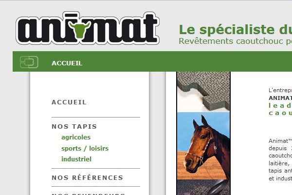 Tapis caoutchouc Animat